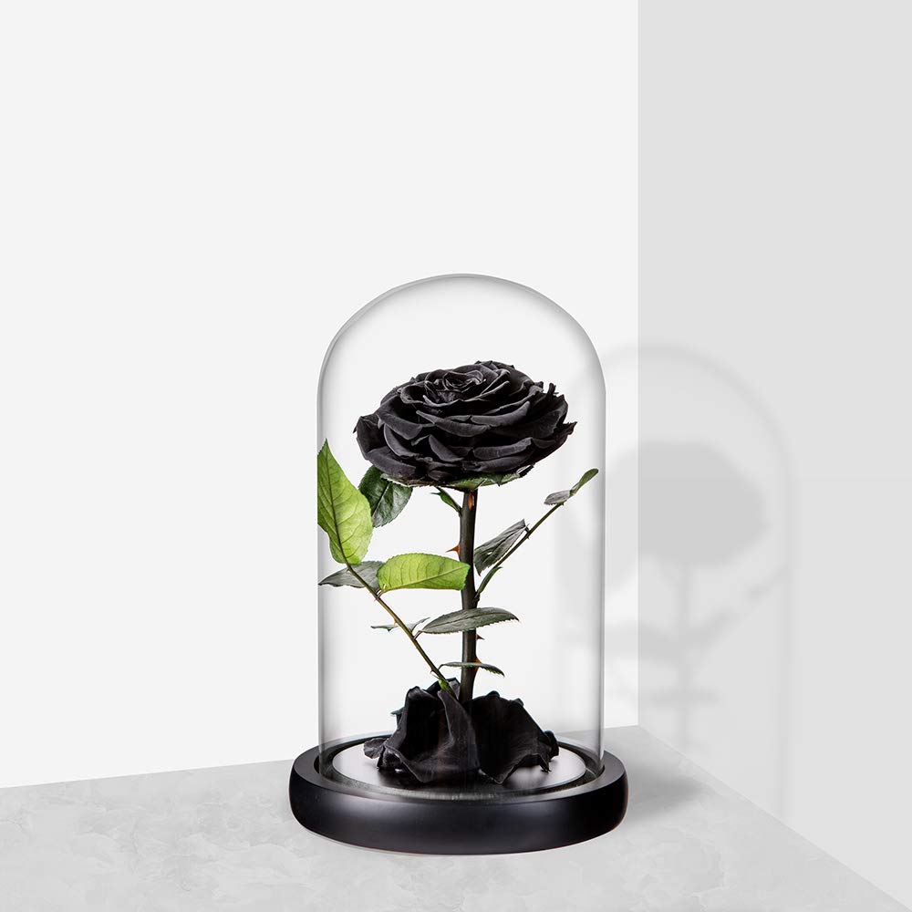 Perfectione Roses sur une commode illustrant décoration chaleureuse et cadeau prêt
