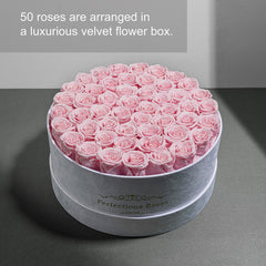 Perfectione Roses profil des roses arrangées dans la boîte, présentation soignée
