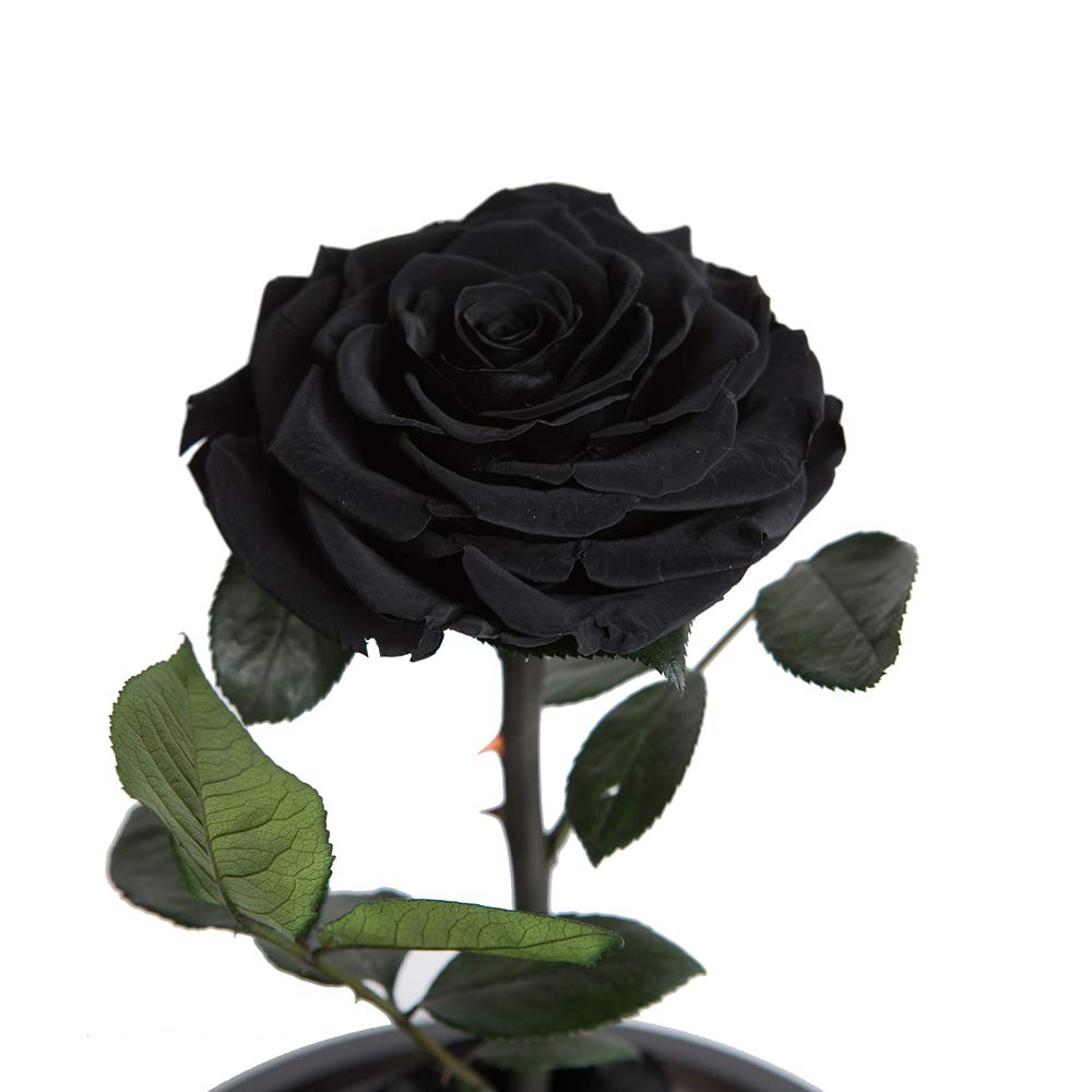 Perfectione Roses socle en bois détaillé offrant stabilité et esthétique raffinée