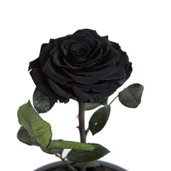 Perfectione Roses socle en bois détaillé offrant stabilité et esthétique raffinée