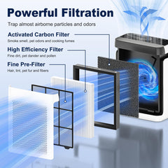 PETOX filtre Vital 100S installé dans un purificateur LEVOIT montrant performance en usage