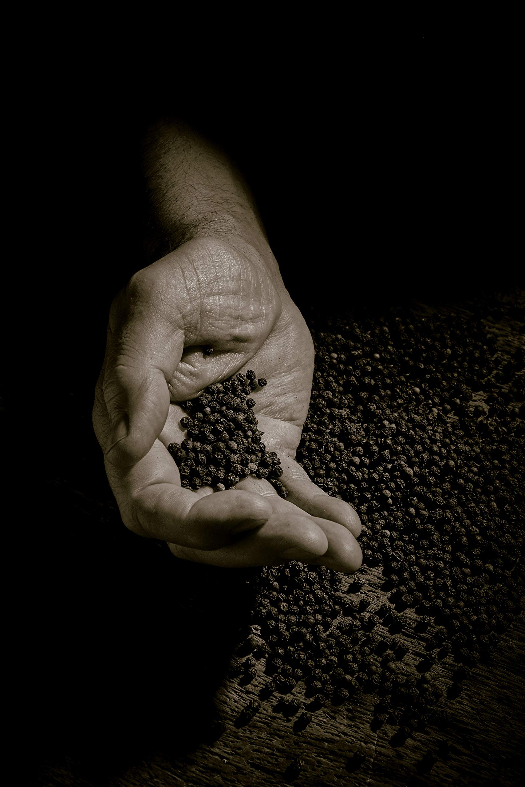 Peugeot finition bois en hêtre chocolat soulignant qualité et esthétique résistante