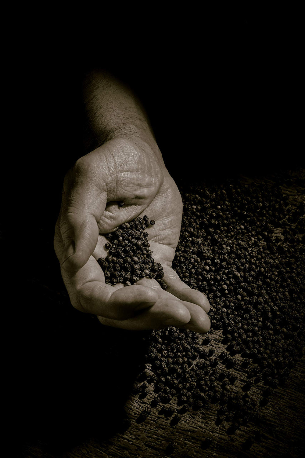Peugeot finition bois en hêtre chocolat soulignant qualité et esthétique résistante
