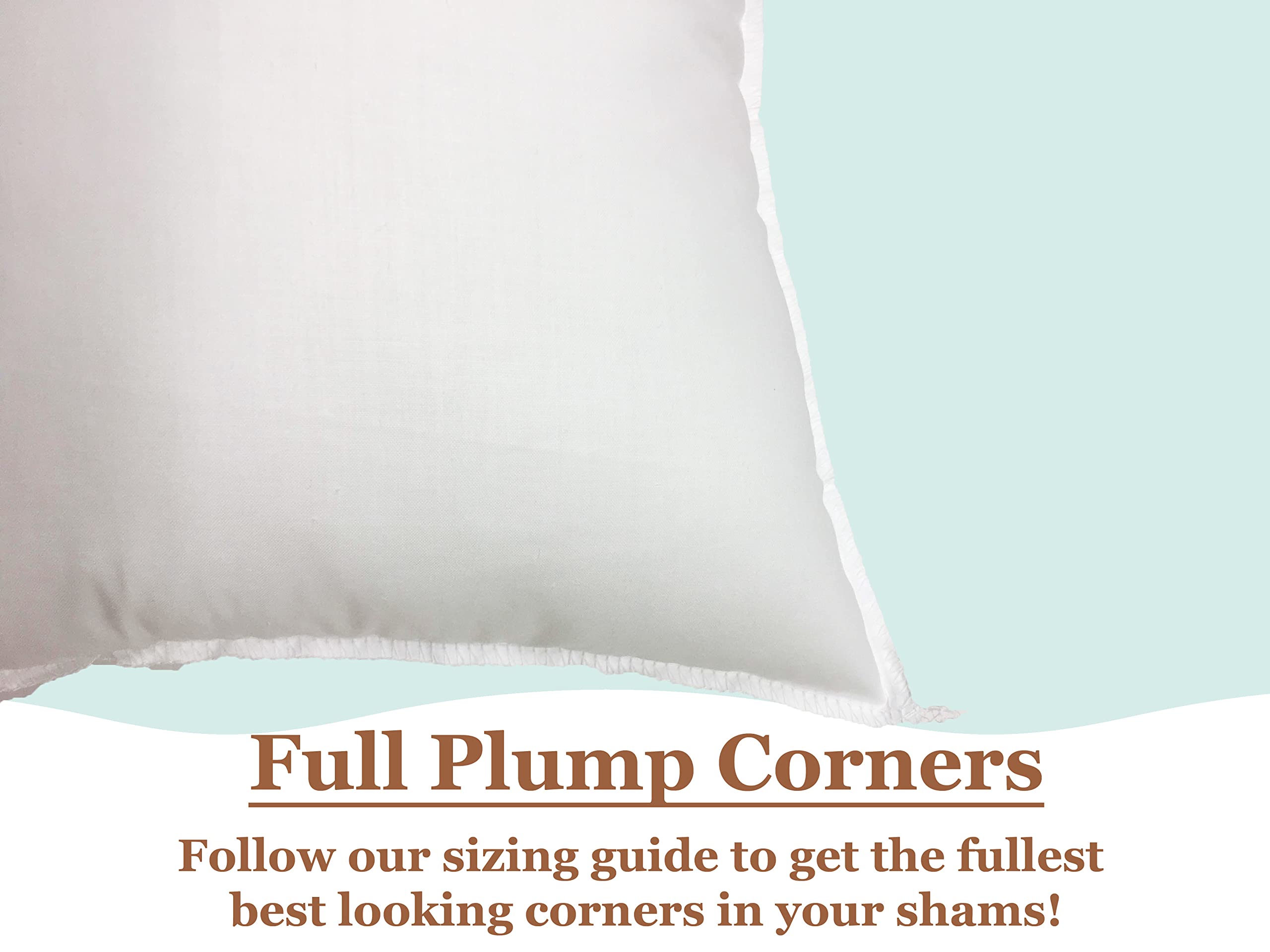 Pillowflex lot de deux coussins présenté ensemble pour symétrie décorative