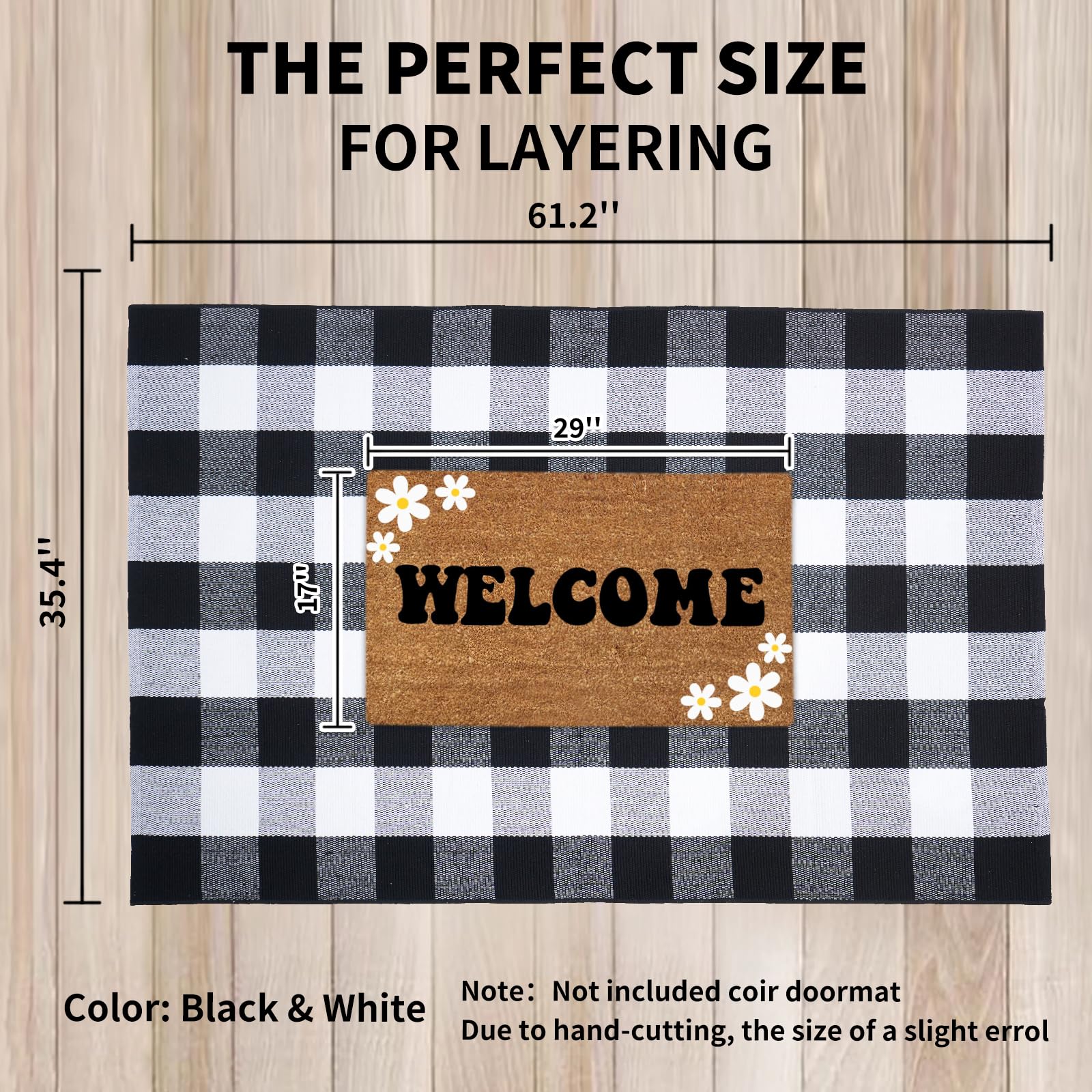 PIXFAIRY tapis placé dans une entrée, facilite essuyage des chaussures et style immédiat