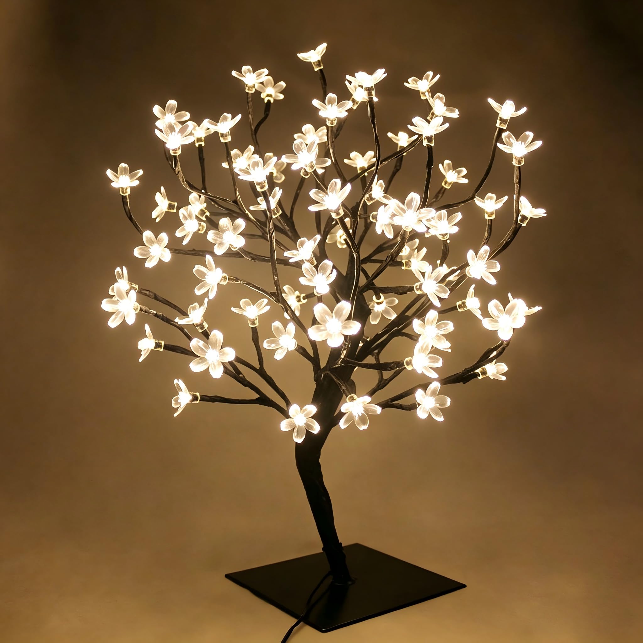 PMS lampe bonsaï face avant montrant silhouette et lumière chaude