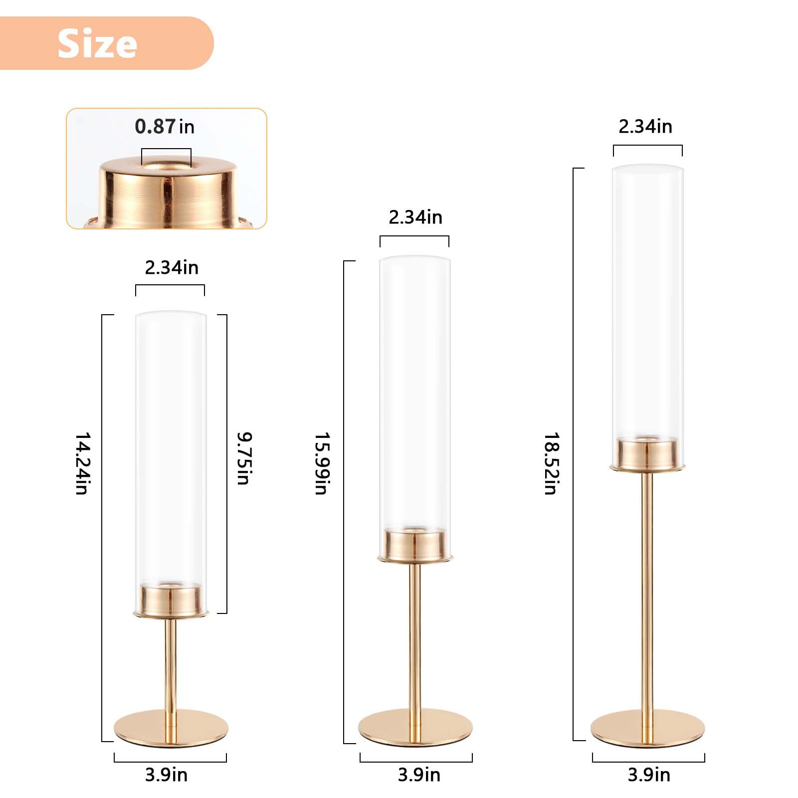 POKINE comparaison taille avec main montrant proportions pratiques