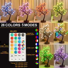 Pooqla gros plan sur fleurs illuminées montrant texture et diffusion douce