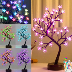 Pooqla arbre de cerisier face montrant l'éclairage multicolore et l'ambiance
