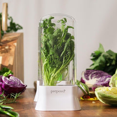 Prepara Herb Savor Eco base à eau avec bouchon silicone, facilite remplissage