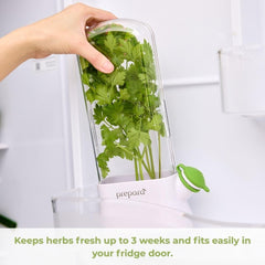 Prepara Herb Savor Eco gros plan sur la cloche transparente, protège feuilles