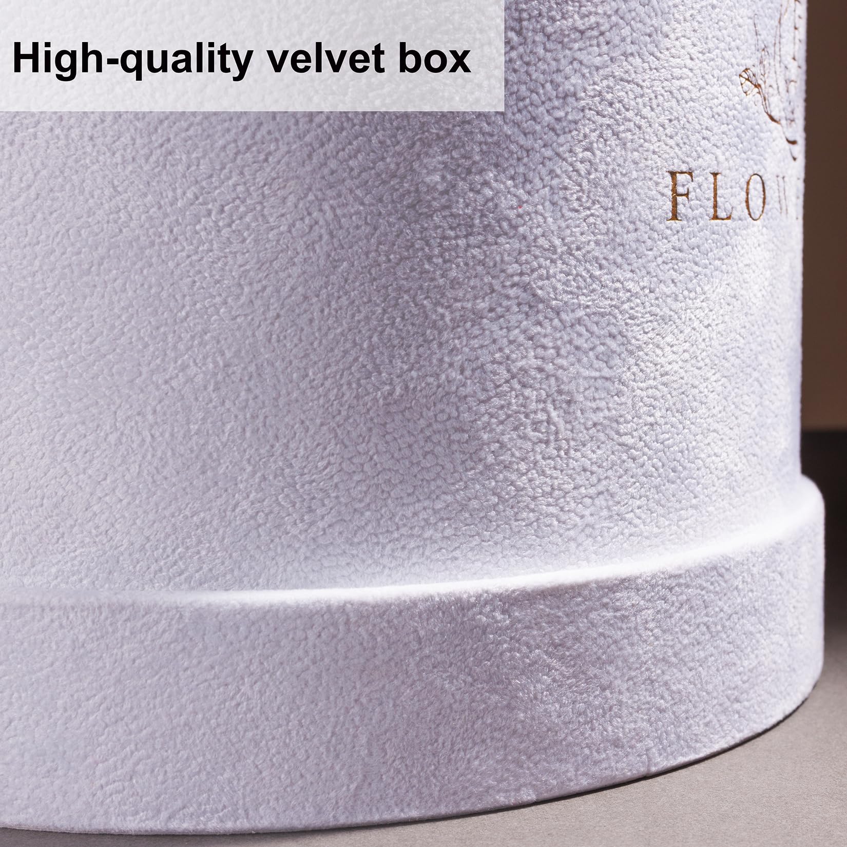 Prifroti coffret ouvert côté révélant arrangement soigné et finition luxe