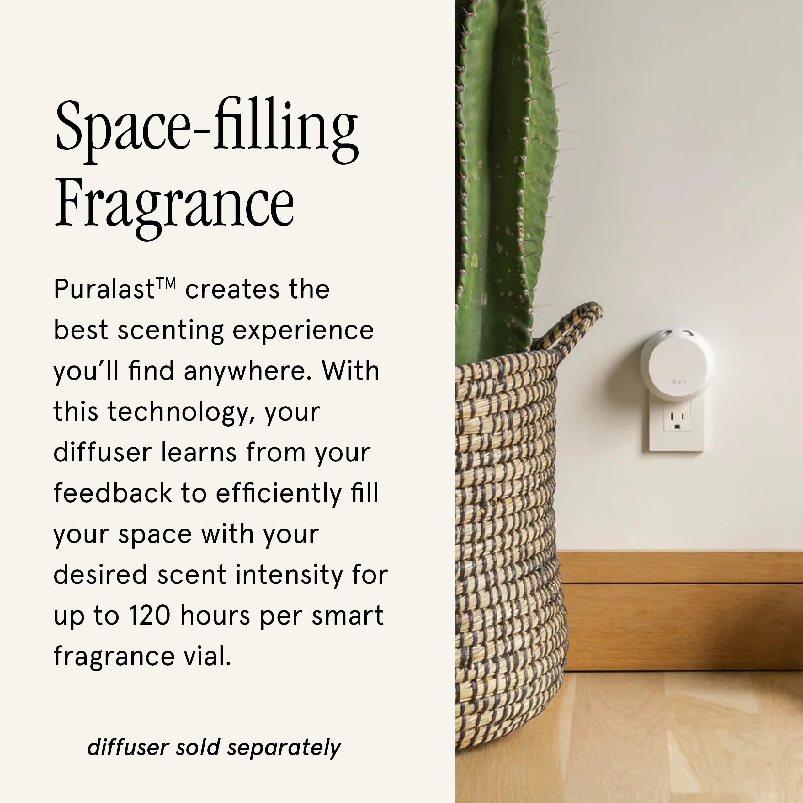 Pura détail de la capsule et étiquette affichant infos produit pour installation simple