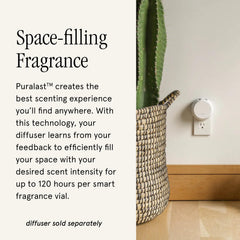 Pura détail de la capsule et étiquette affichant infos produit pour installation simple