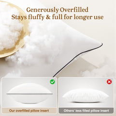 puredown gros plan microfibre douceur semblable duvet