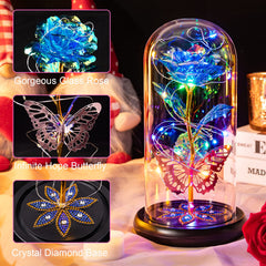 Pusuny rose sous dôme en verre présentée dans un intérieur cosy pour atmosphère