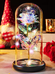Pusuny rose sous globe vue de face montrant son effet galaxy et romantique