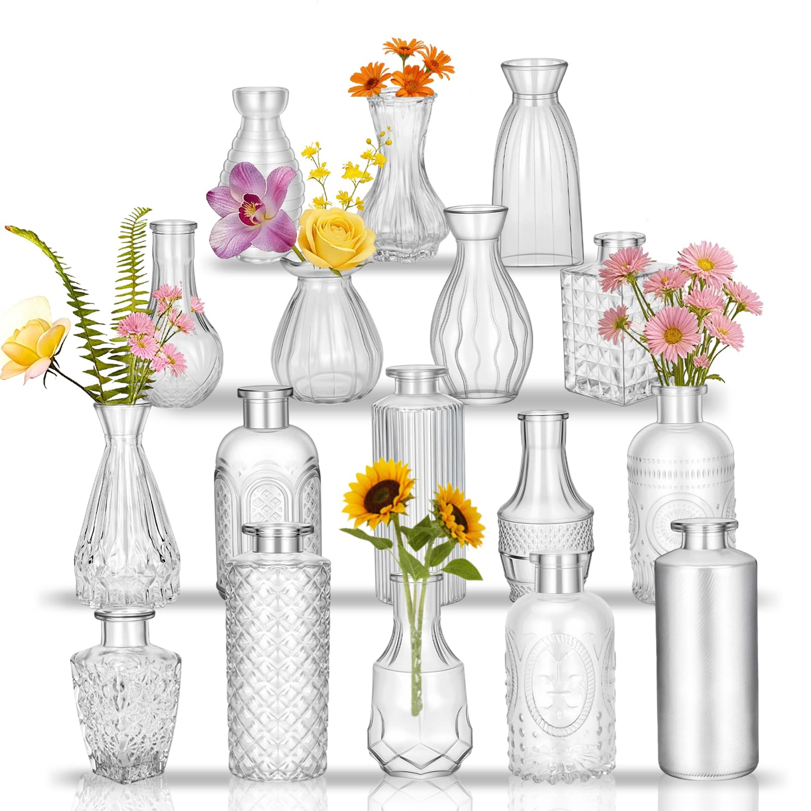 PXDSDXJJ ensemble frontal de 17 vases montrant variété et élégance