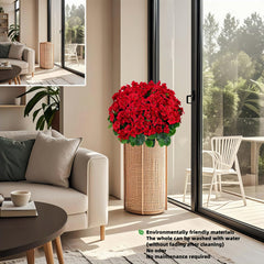 QIANYUN géranium installé sur porche, apporte couleur et accueil chaleureux