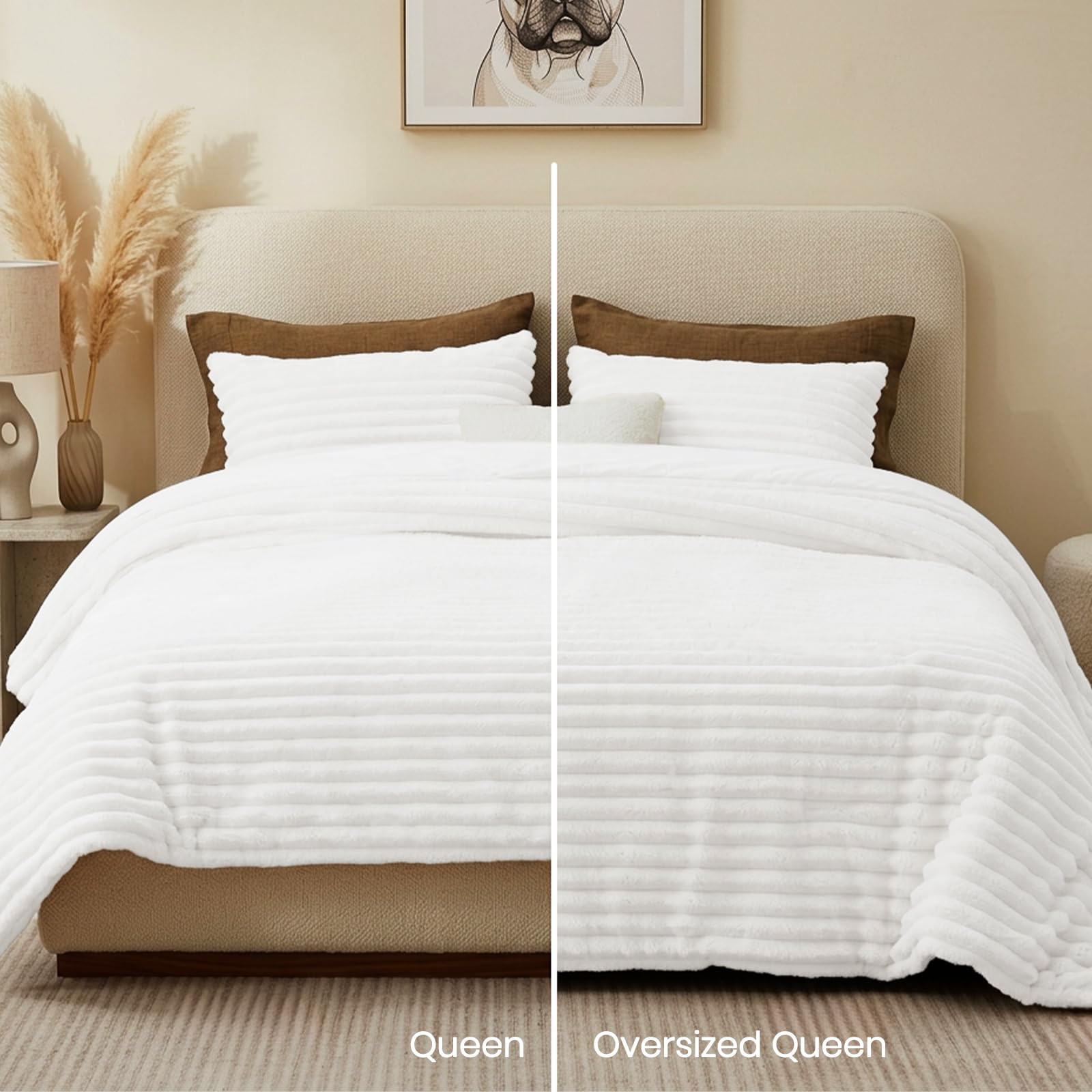Quataly comparaison échelle montrant taille queen et couverture