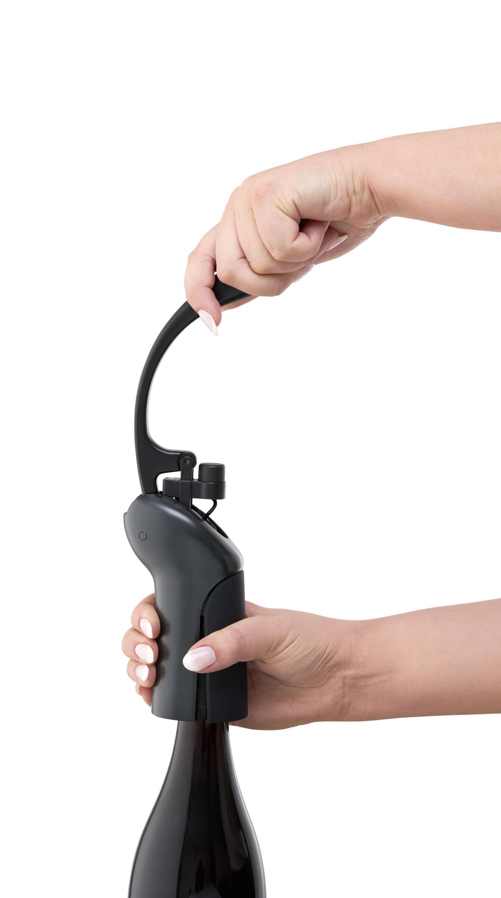 Rabbit à côté d'une bouteille pour comparaison de taille et usage pratique