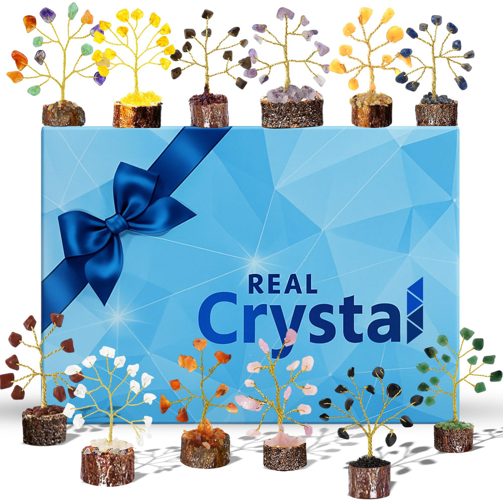 Real Crystal face de l'emballage montrant coffret élégant et complet