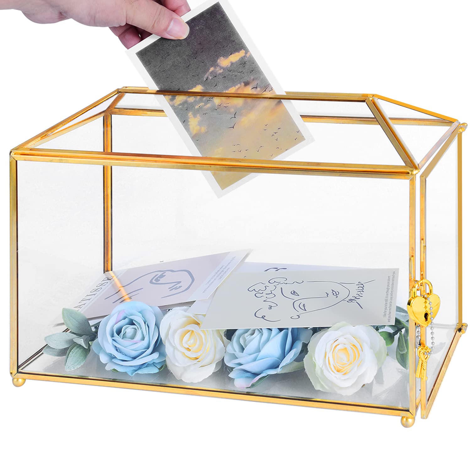 Ripprovt boîte à cartes vue de face montrant l’élégance dorée et la transparence utile