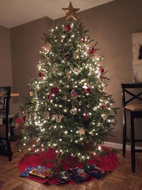 Rocky Mountain Goods support installé avec sapin décoré en usage