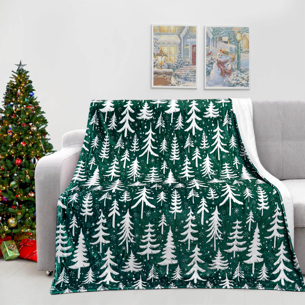 Roszwtit plaid sur canapé créant ambiance cosy