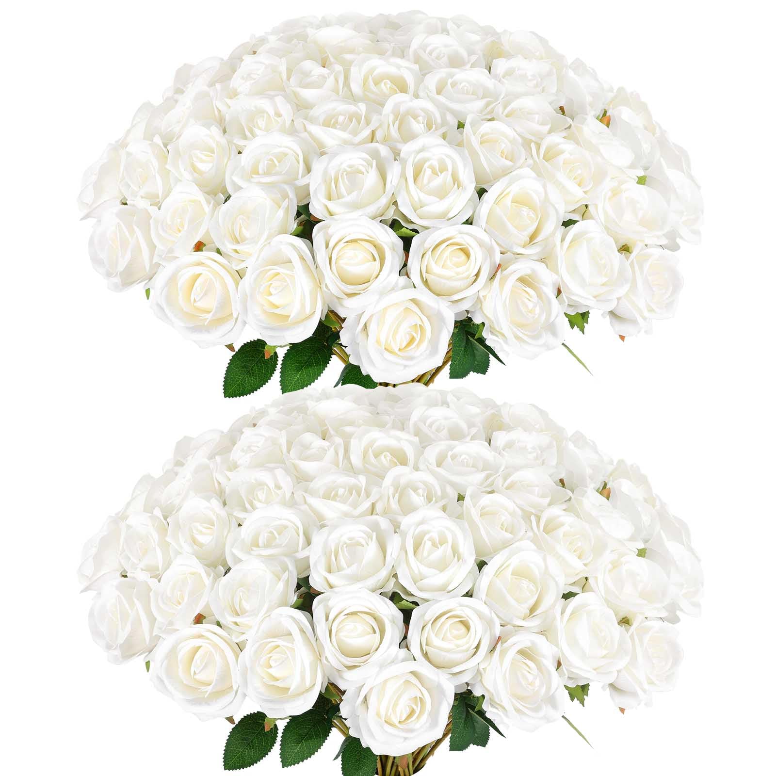Rowfad emballage avant montrant le lot de 120 roses, préparation facile