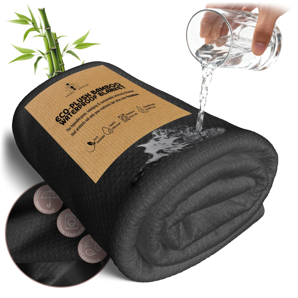 Sacred Weapon couverture devant charbon montrant protection esthétique