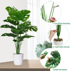 SAJANDAS gros plan feuilles Monstera réalistes apportant charme tropical