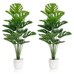 SAJANDAS plante Monstera en pot blanc, décoration immédiate et élégante