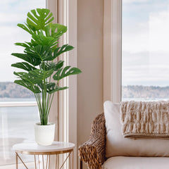 SAJANDAS gros plan feuillage Monstera montrant réalisme et texture