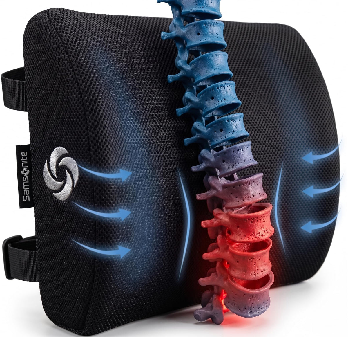 Samsonite avant du coussin lombaire montrant le design et le maintien ergonomique