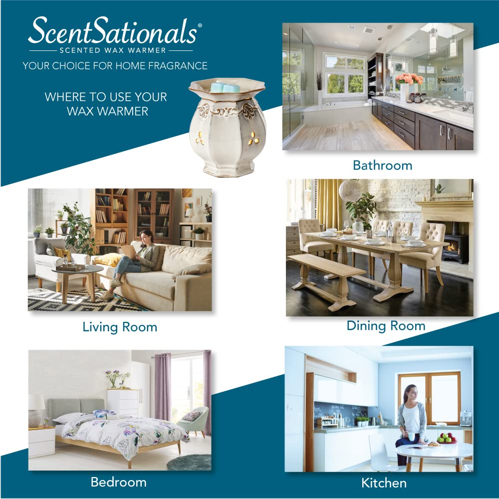 Comparaison d’échelle Scentsationals Wooded Home illustrant dimensions compactes pratiques
