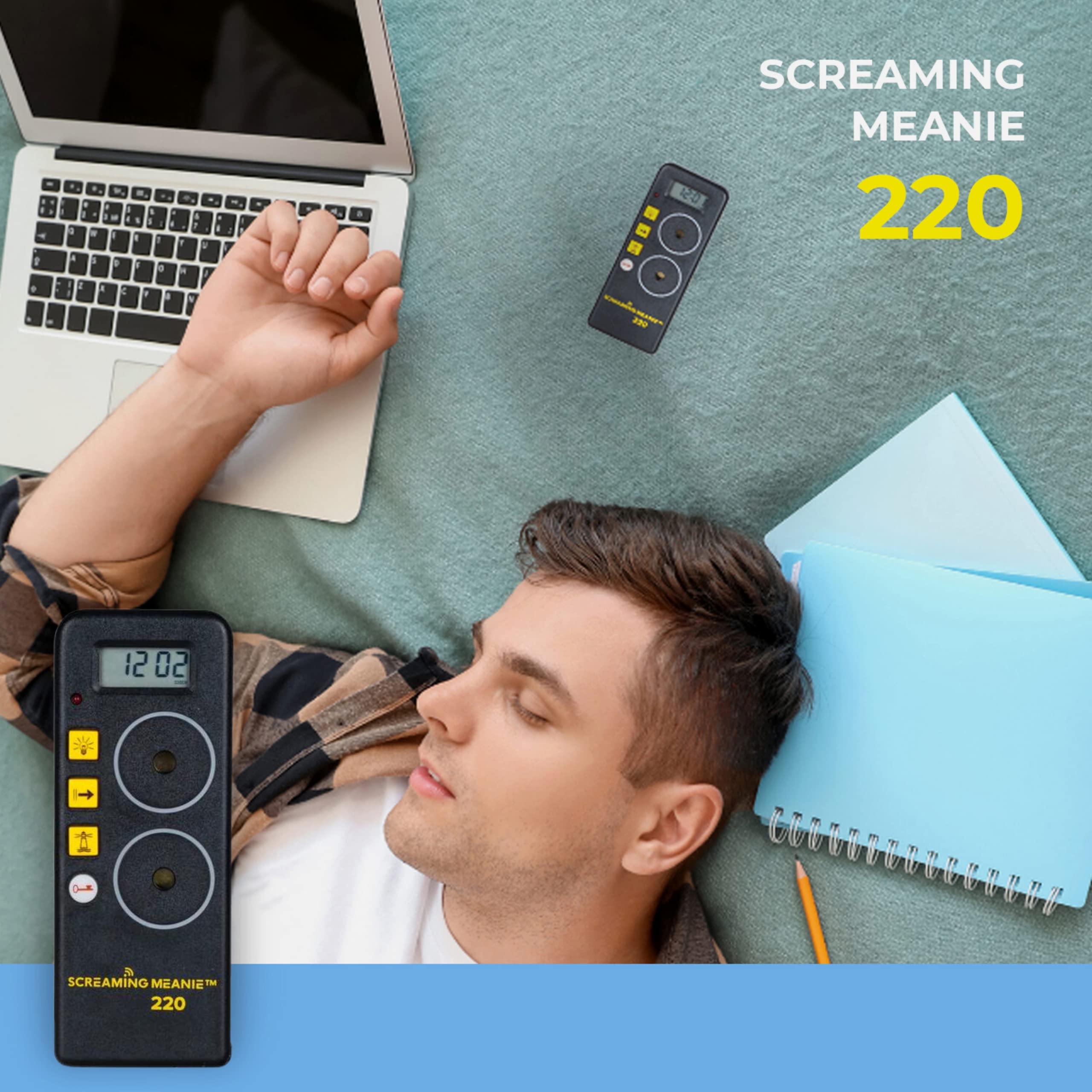 Screaming Meanie posé sur pare-soleil de voiture pour réveil en voyage