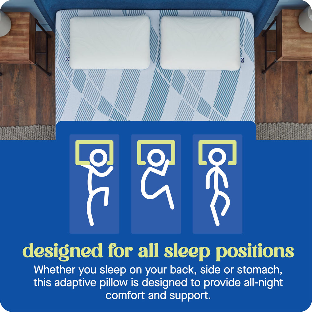 Sealy Dreamlife comparaison taille Queen sur un matelas pour échelle
