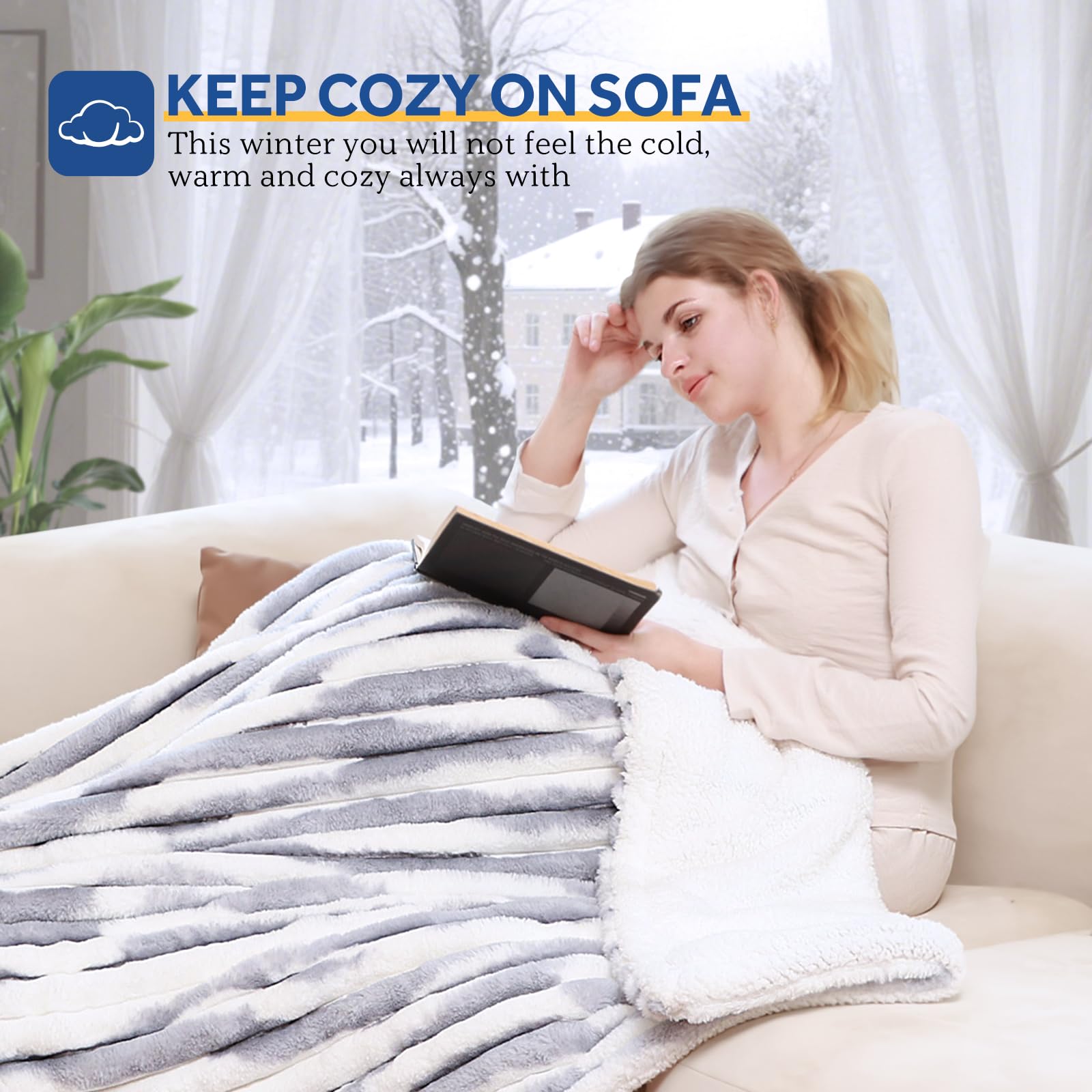 Sealy comparaison d'échelle 50x60 montrant taille idéale pour une personne