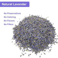 seeyoung gros plan sur bourgeons de lavande couleur vive parfum naturel