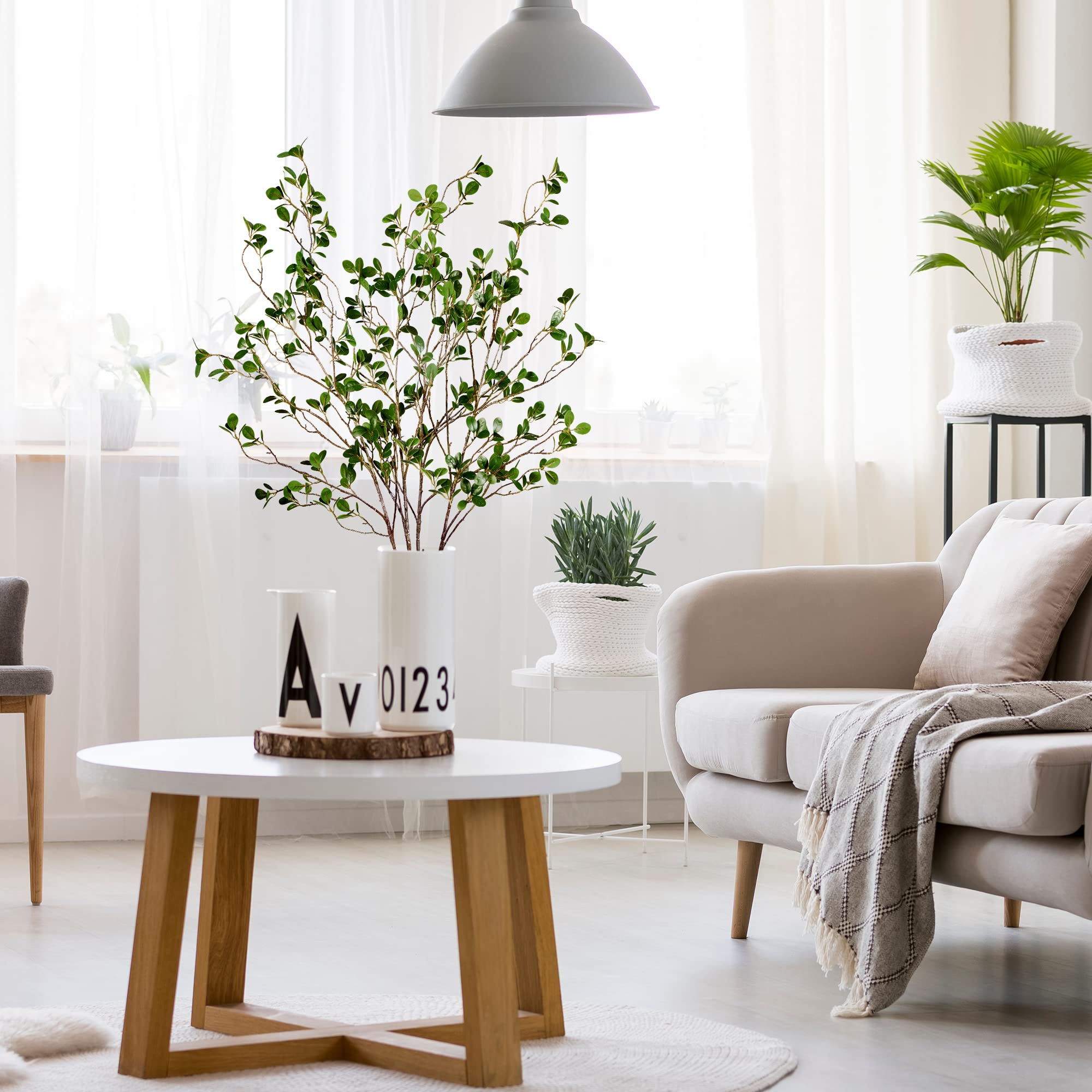 Branches Sggvecsy dans un vase sur une table de salon, apporte verdure sans entretien