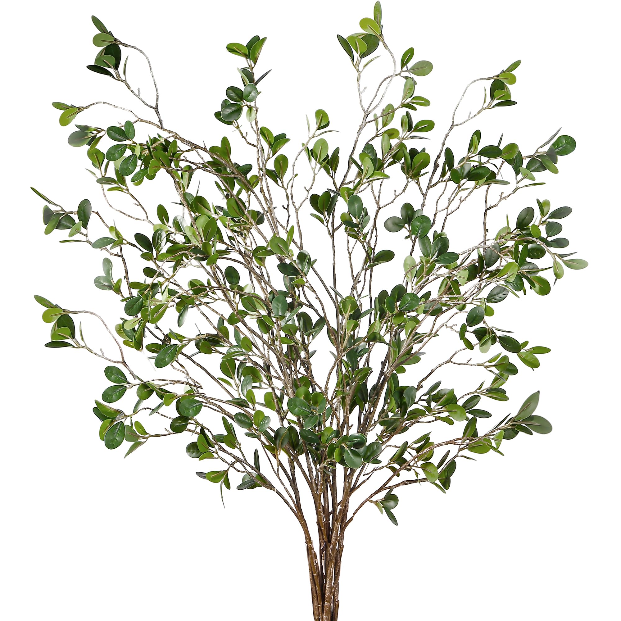 Sggvecsy branches de ficus devant emballage montrant lot de six, prêt à décorer