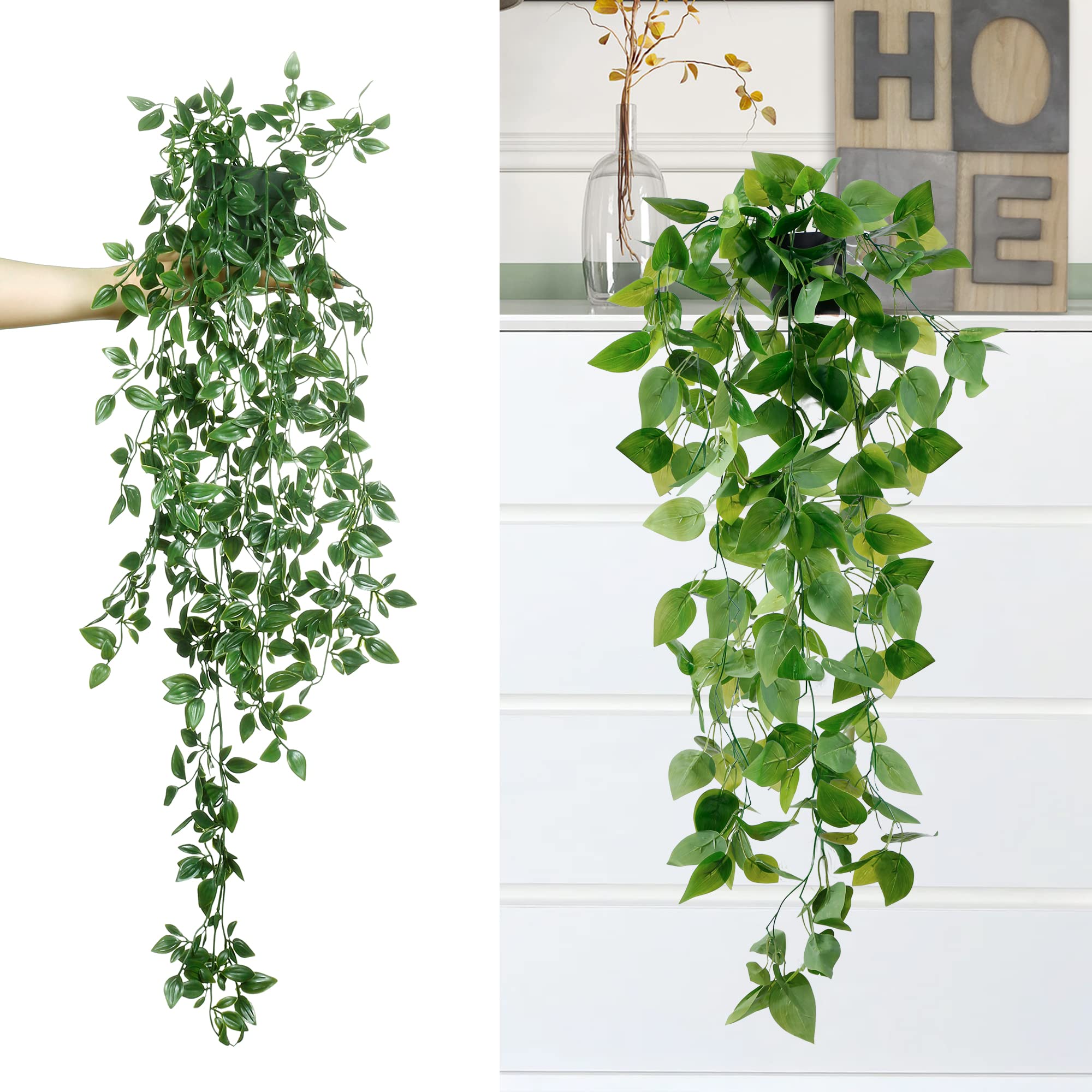 Sggvecsy pea pod longueur, comparaison d'échelle pratique