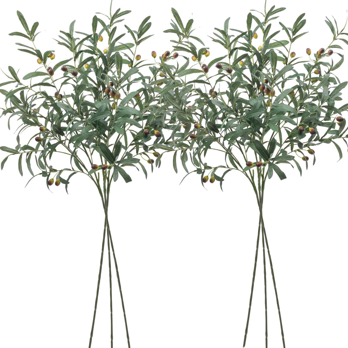 SHACOS branches d'olivier pack de 6 vue frontale pour décoration durable