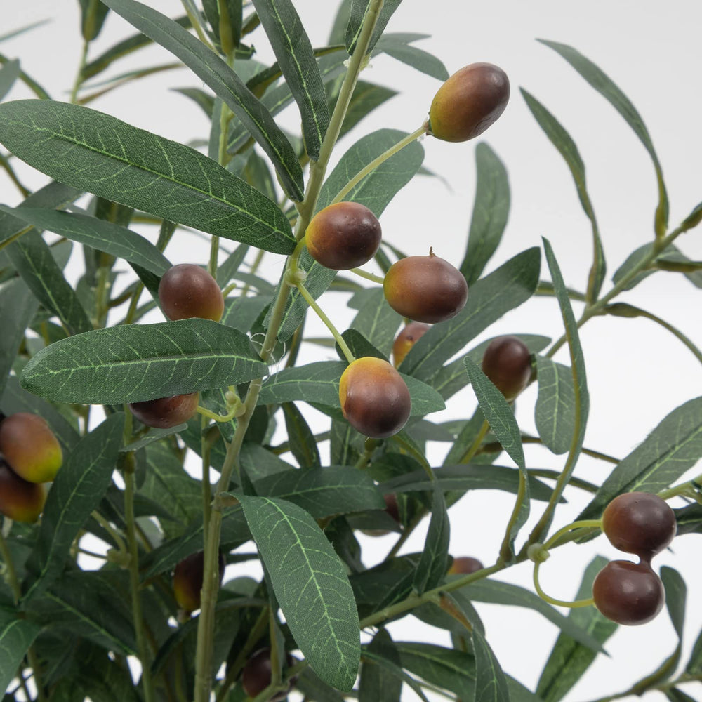 SHACOS branches arrangées dans un vase haut embellissent le salon