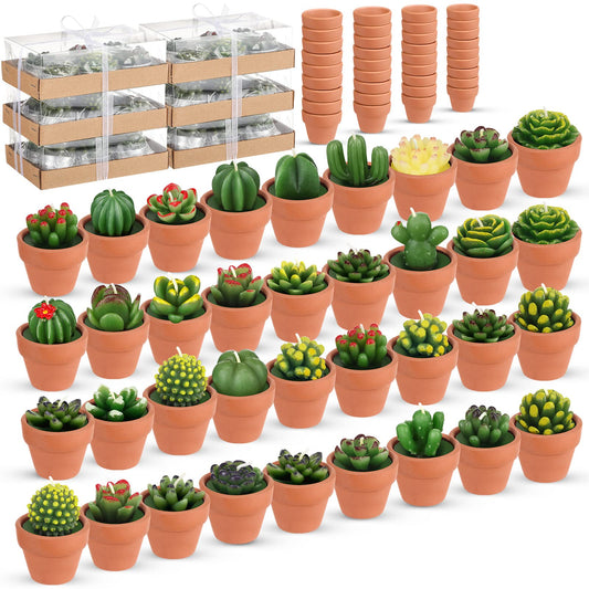 Shihanee ensemble frontal de 36 bougies succulentes pour décoration printanière