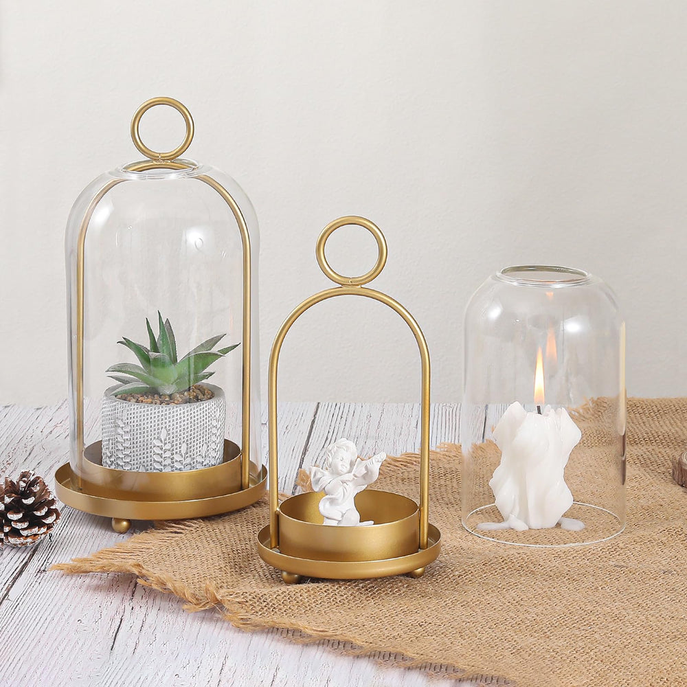 SHOHAYTO dôme utilisé avec succulente, offre alternative déco protégée