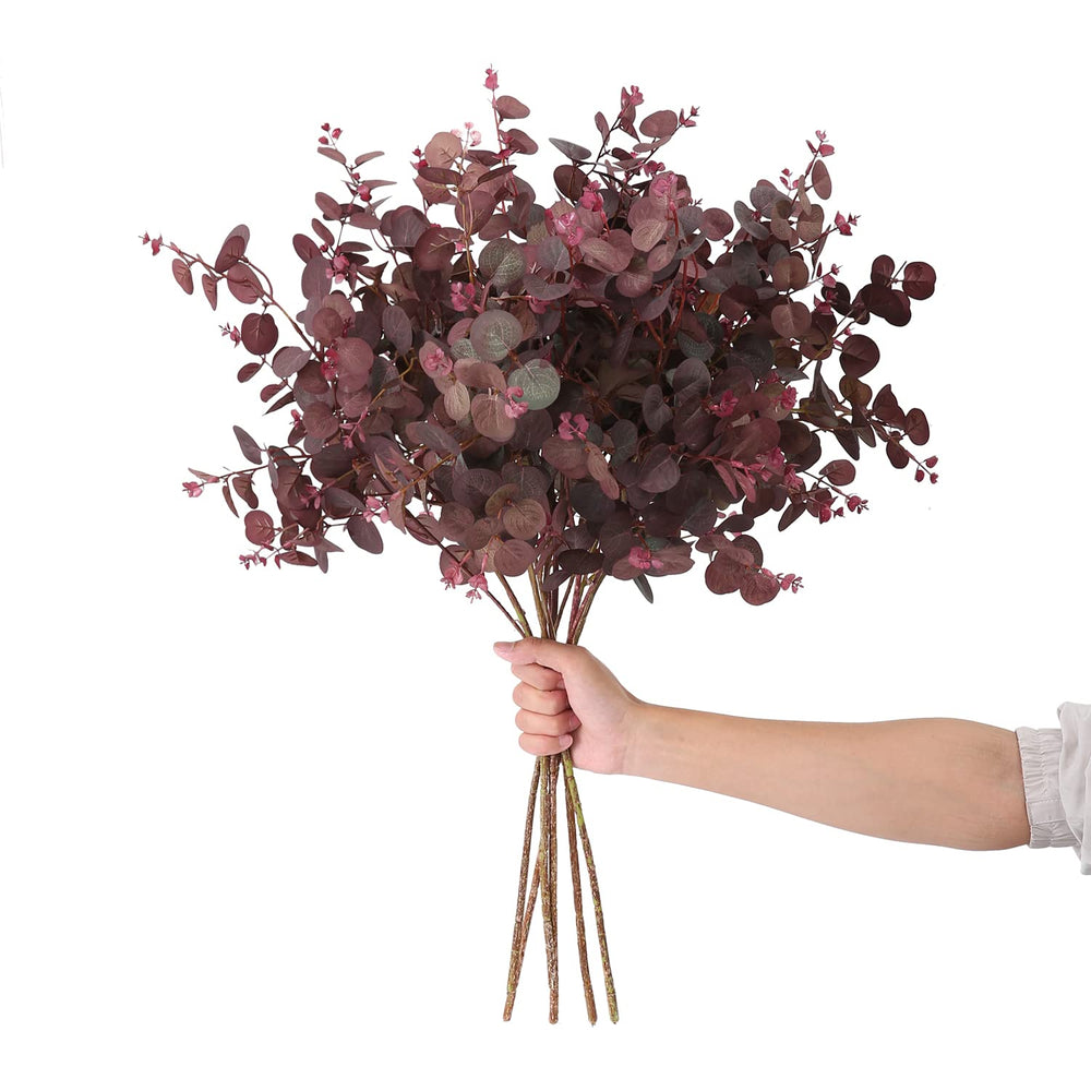 SHUOTAO tige eucalyptus face emballage montrant quantité et couleur wine red