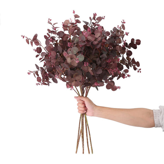 SHUOTAO tige eucalyptus face emballage montrant quantité et couleur wine red