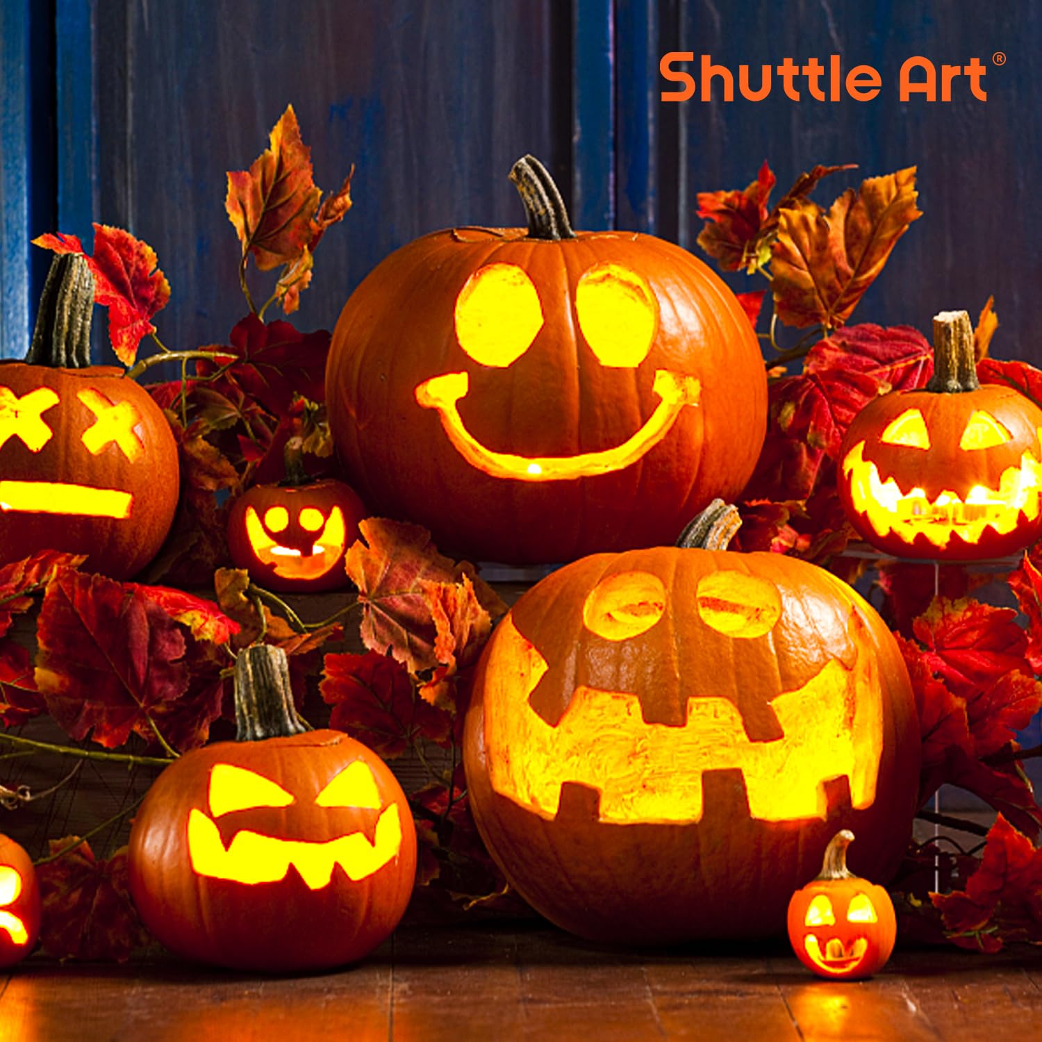 Shuttle Art manuel et feuille référence pour inspirations et tutoriels